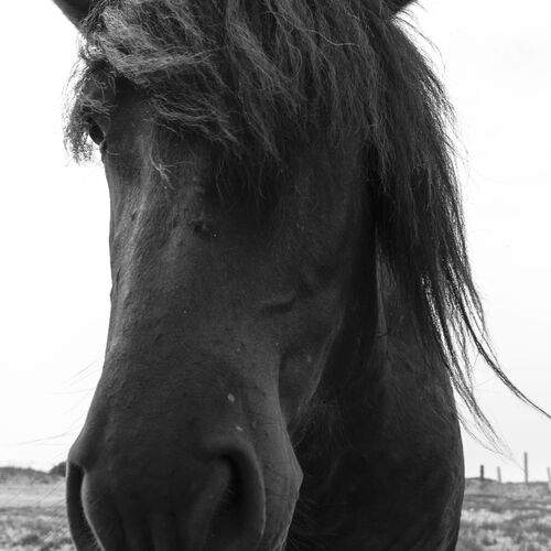 Photo #13098423