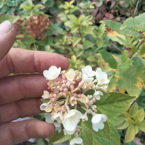 Photo #13098511