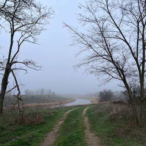 Photo #13098708