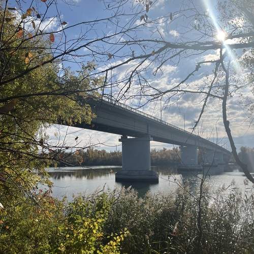 Photo #13098715