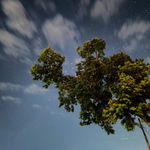 Photo #13099013