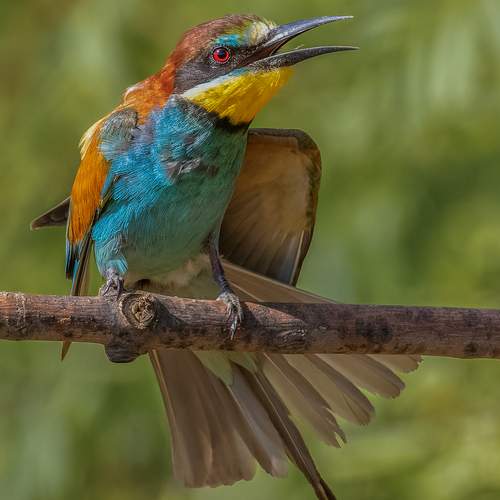 Да что ты говоришь!