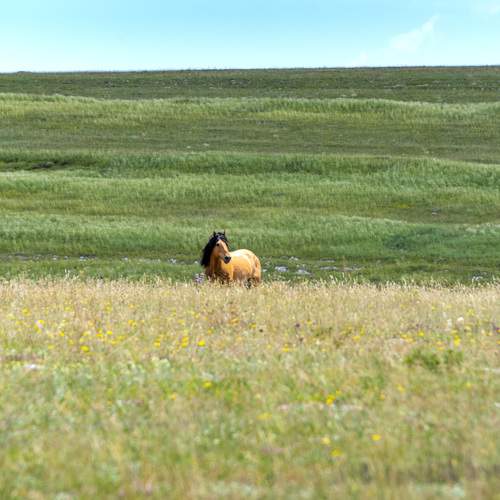 Photo #13099140