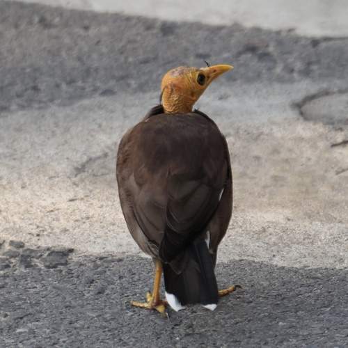 Фотография #13099144