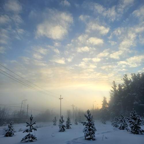 Photo #13099248