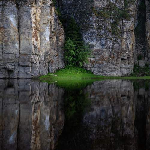 Photo #13099289