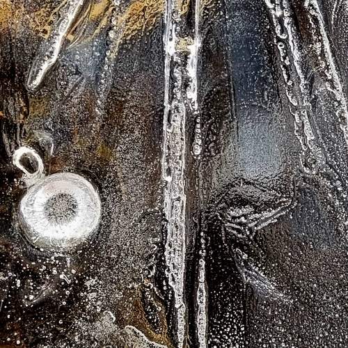 Photo #13099321