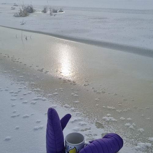 Photo #13099337