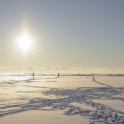 Photo #13099515