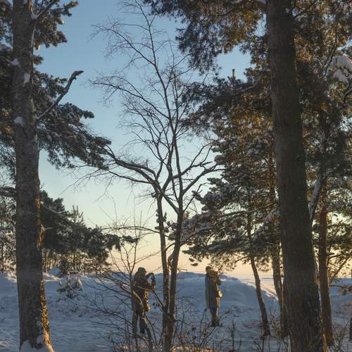 Photo #13099518