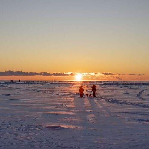 Photo #13099542