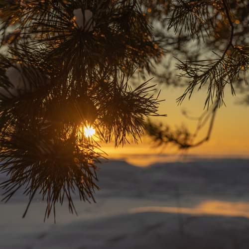Photo #13099554
