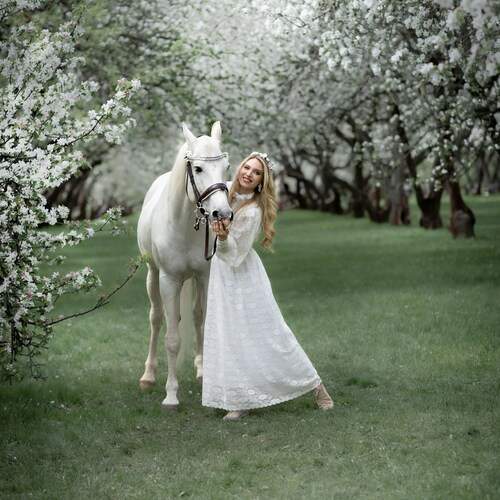 Photo #13099820