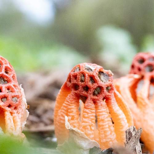 Photo #13099871
