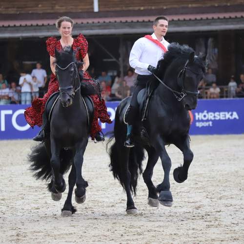 Photo #13099875