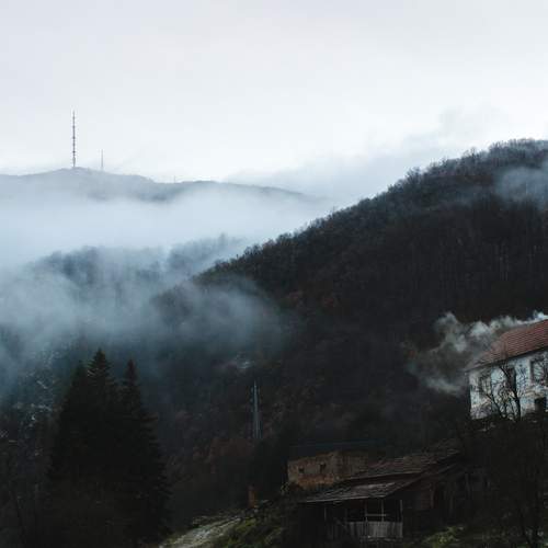 Photo #13099964