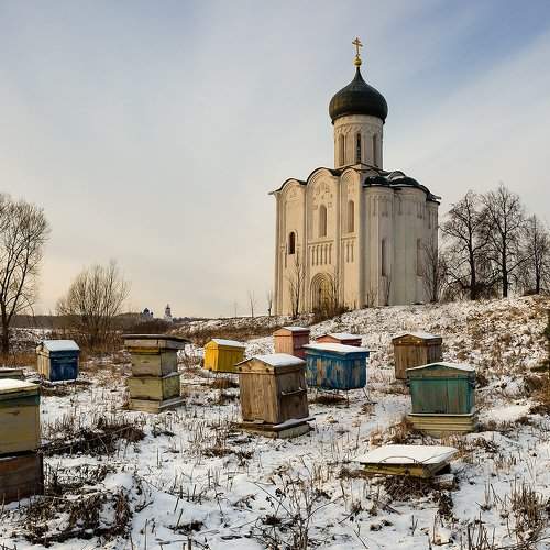 В ожидании весны