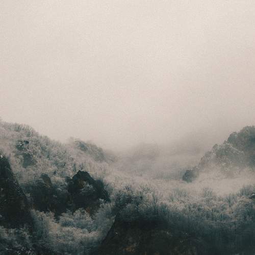 Photo #13100040