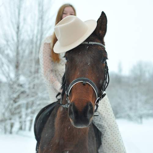 Фотография #13100044