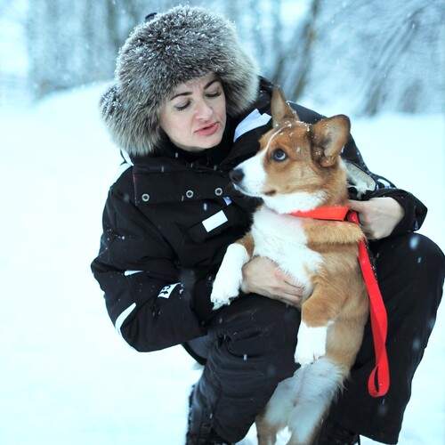 Фотография #13100062