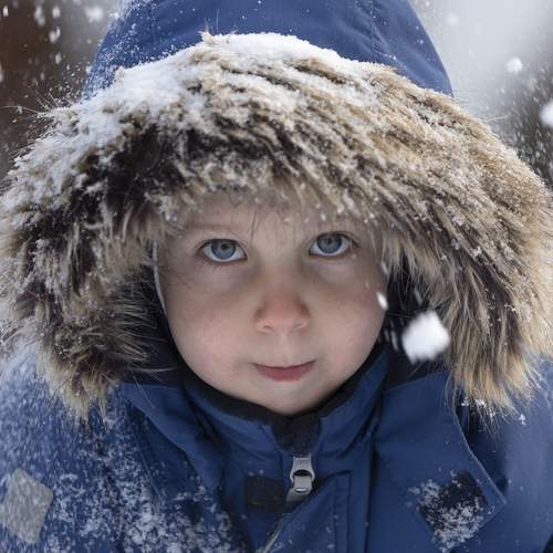 Photo #13100118