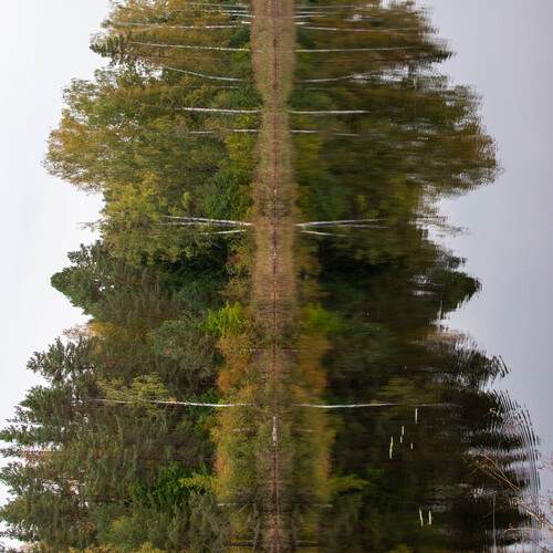 Photo #13100353