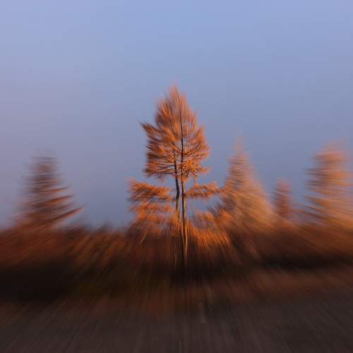 Фотография #13101026