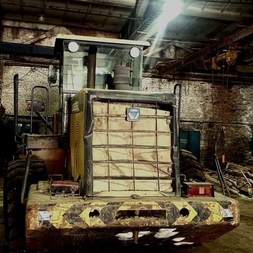 Photo #13101125