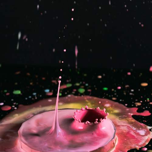 Photo #13101172