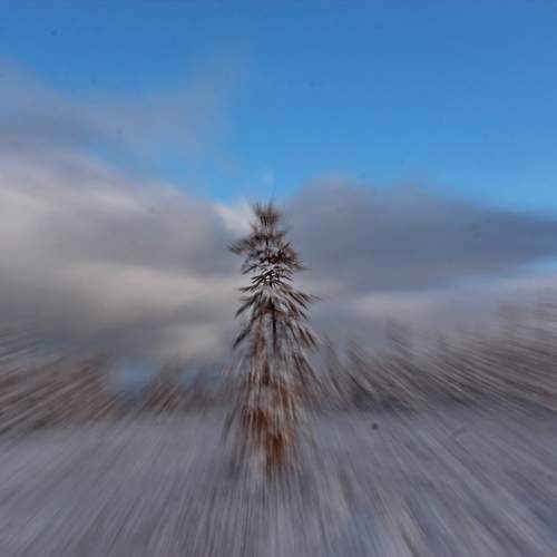 Фотография #13101174