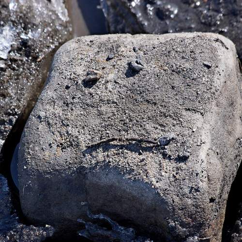 Фотография #13101332