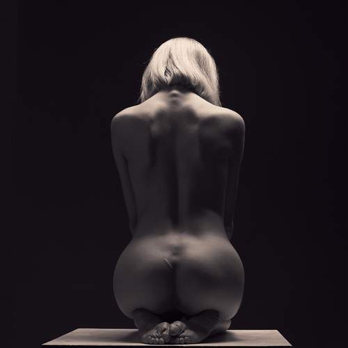 Photo #13101357