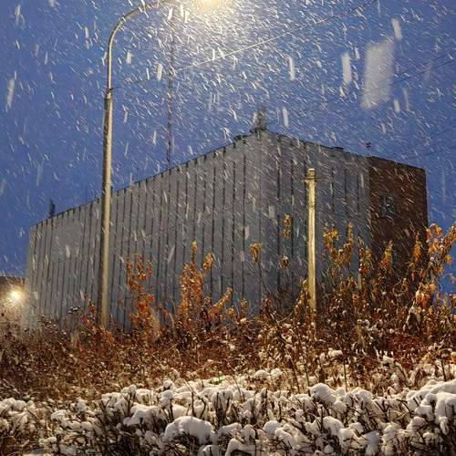 Photo #13101453