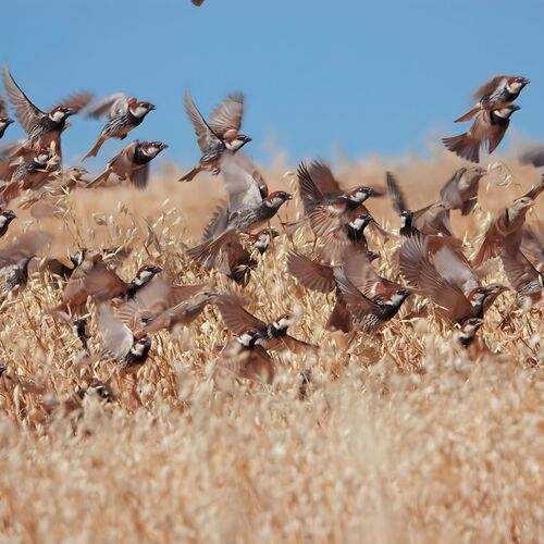 Photo #13101473
