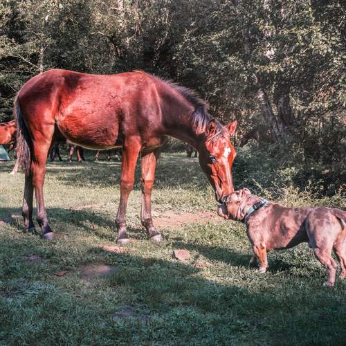 Фотография #13101551