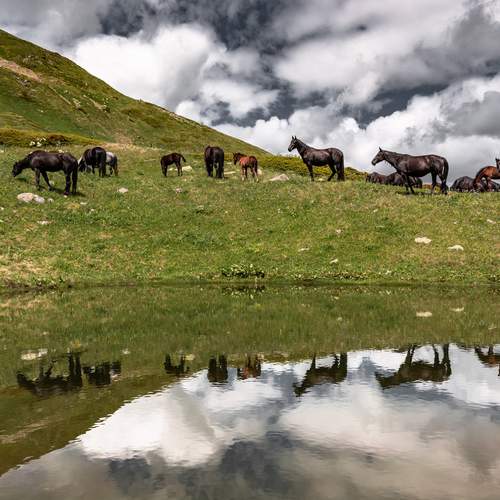 Фотография #13101556