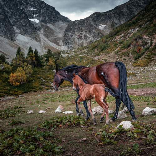 Фотография #13101615