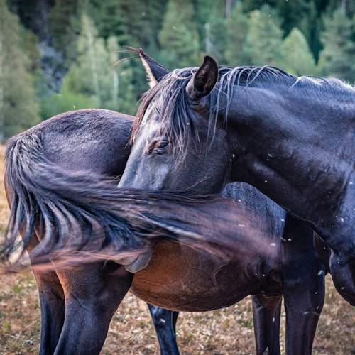 Фотография #13101636