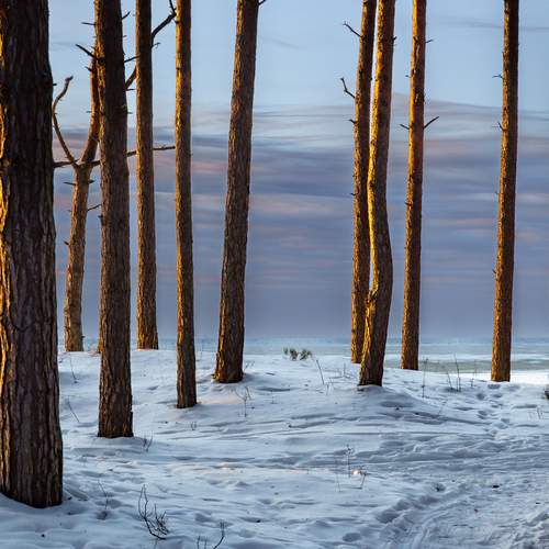 Photo #13101640