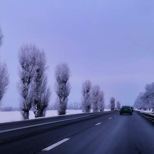 Photo #13101648