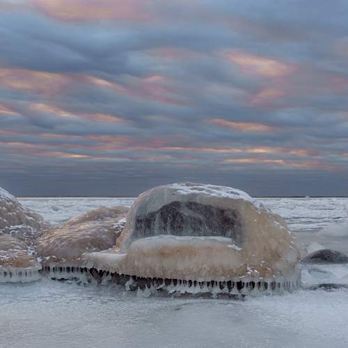 Photo #13101651