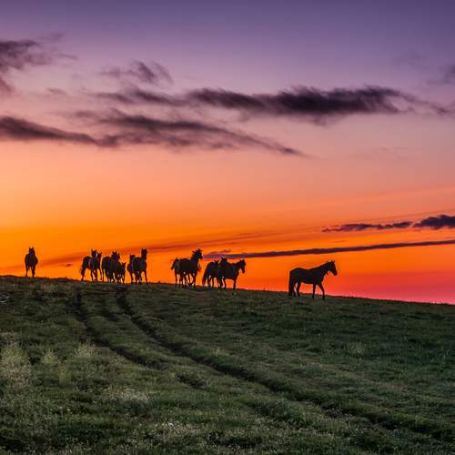 Фотография #13101701