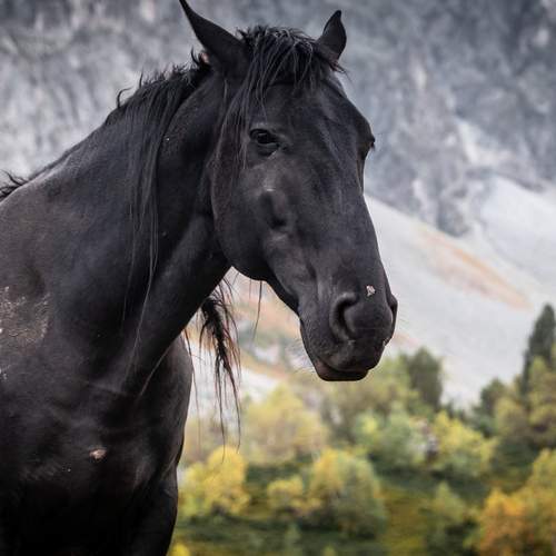 Фотография #13101719