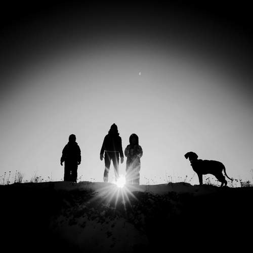 Photo #13101789