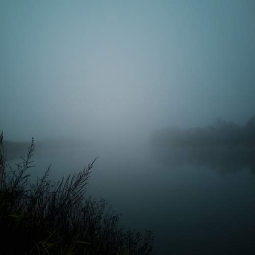 Photo #13101829