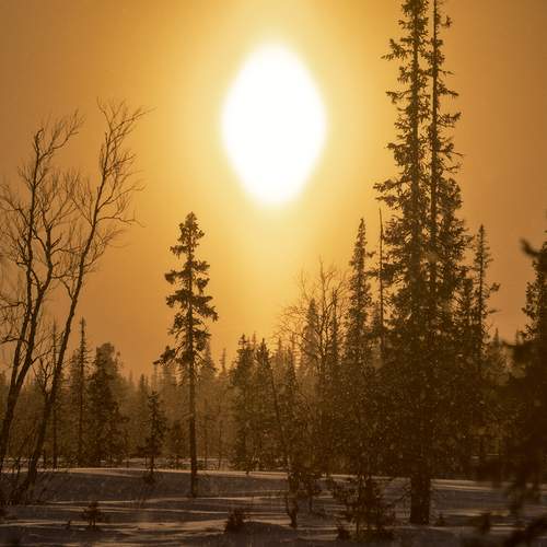 Фотография #13101845