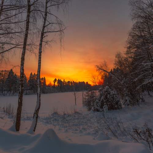 Photo #13101914
