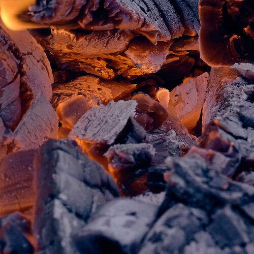Photo #13102027