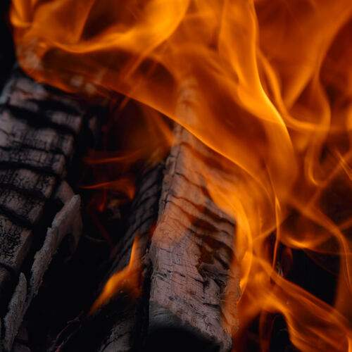Photo #13102028