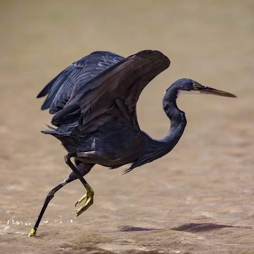 Фотография #13102191